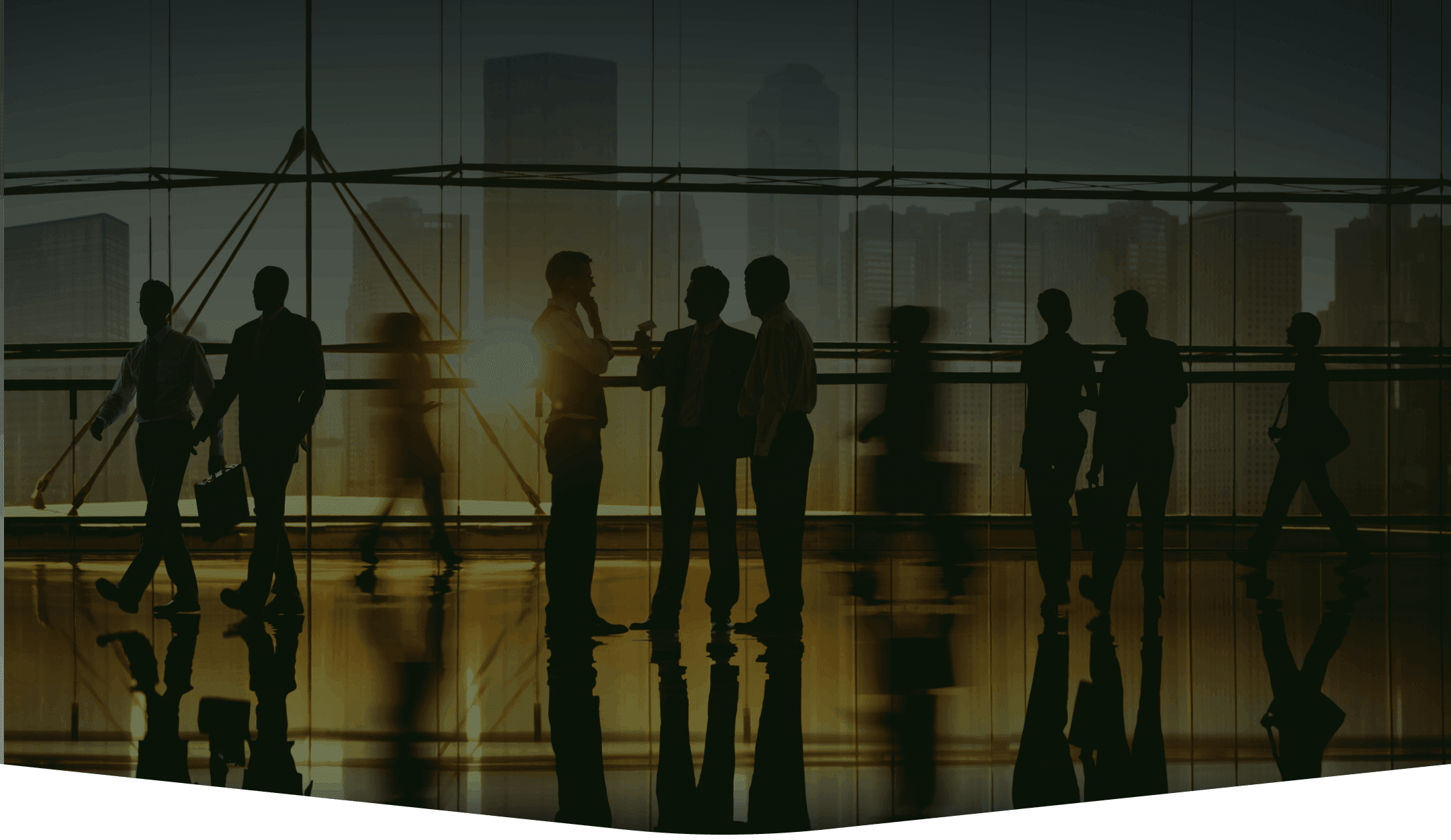 درباره سدره